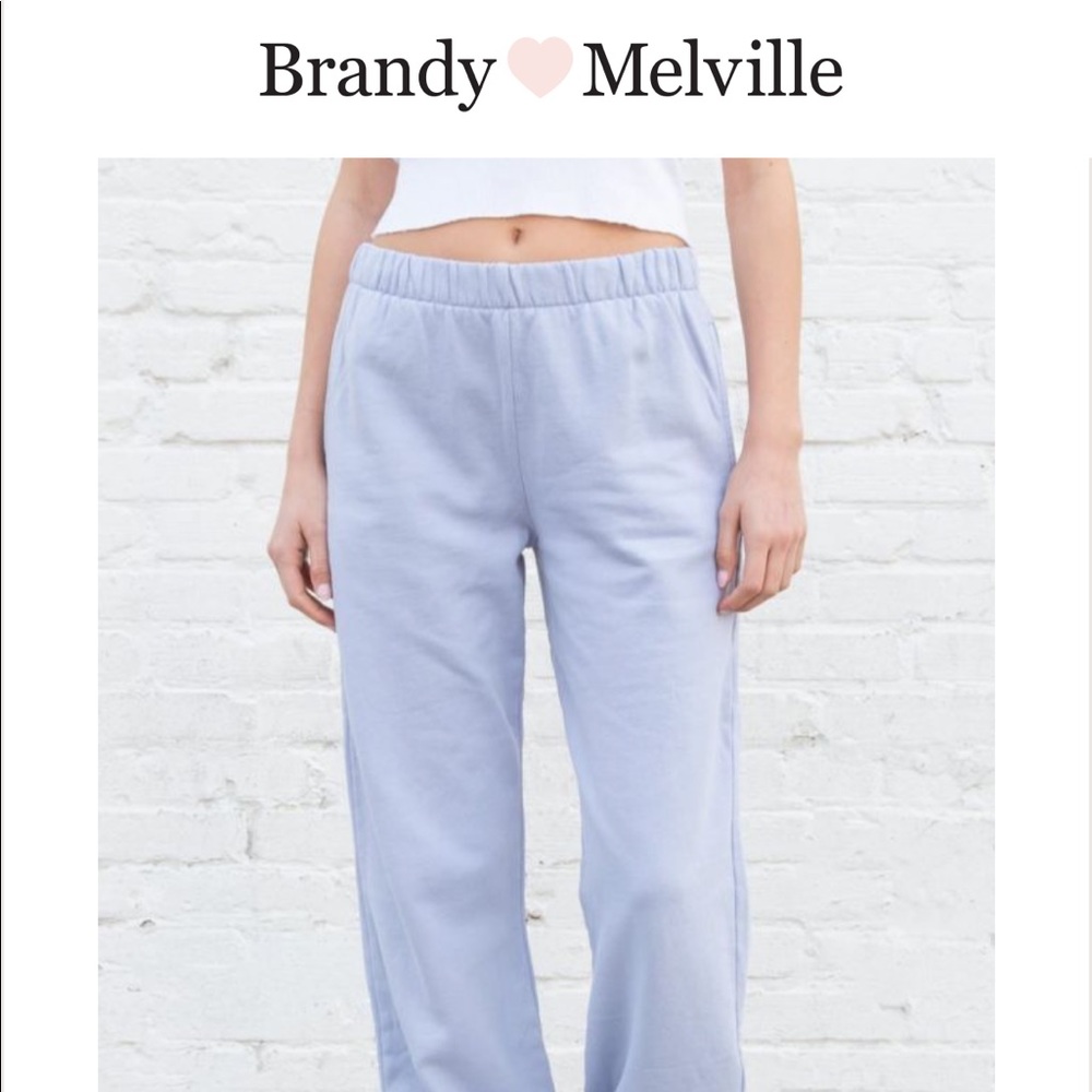 Light blue Rosa Brandy Melville sweatpants